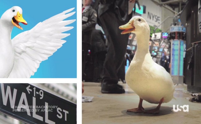 Character Backstory – The Aflac Duck