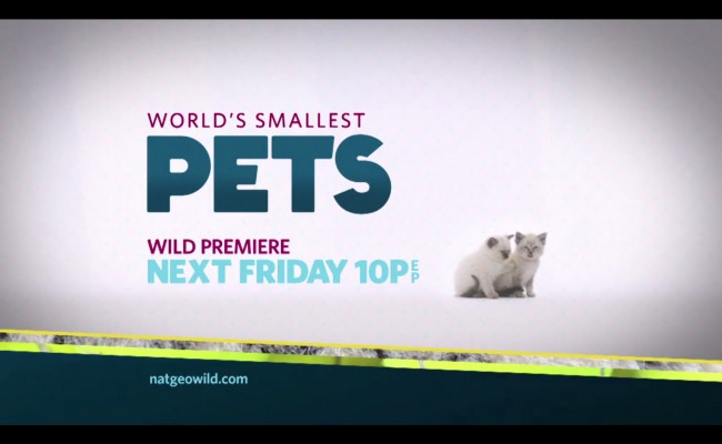 Nat Geo Wild – World’s Smallest Pets Premiere