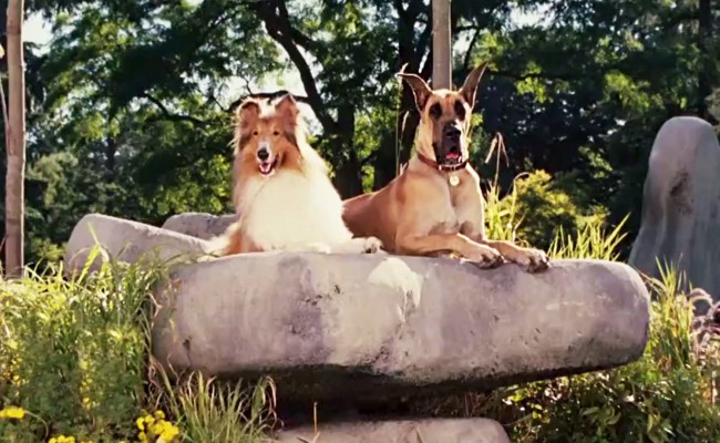 Nickelodeon – Marmaduke Movie Trailer