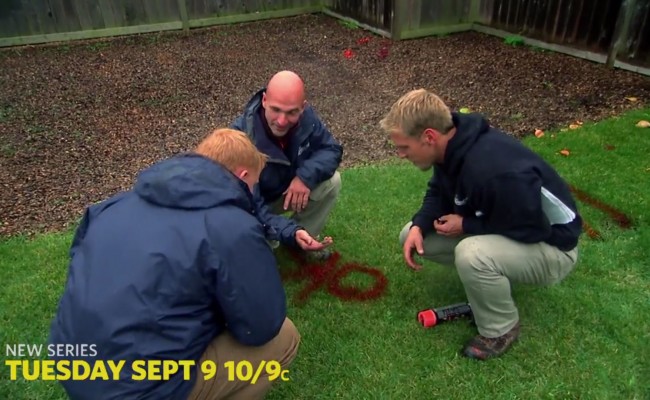 Pond Stars – Series Premier