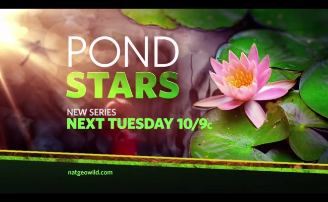 Nat Geo Wild – Pond Stars: Turtle Power