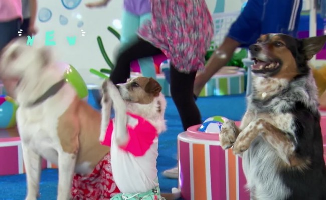 Summertime Premieres